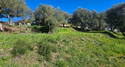 Grasse Terrain à bâtir - 2452534-11719annonce220260310tVphk.jpeg Maisons de Manon