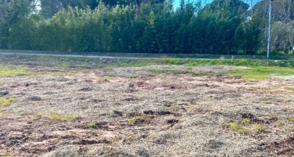 Puget-sur-Argens Maison neuve - 2453113-5826annonce220260311lR77T.jpeg Maisons de Manon