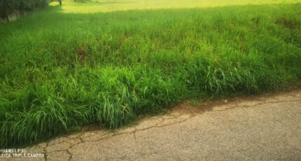 La Destrousse Terrain à bâtir - 2453675-10271annonce120260311cNTsF.jpeg Maisons de Manon