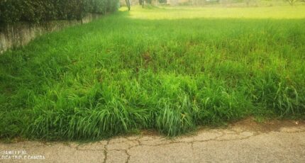 La Destrousse Terrain à bâtir - 2453675-10271annonce4202603116r7ex.jpeg Maisons de Manon