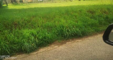 La Destrousse Maison neuve - 2453680-10271annonce220260311FOPxL.jpeg Maisons de Manon