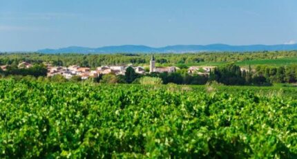 Pinet Terrain à bâtir - 2420491-10896annonce220260206yPtNz.jpeg Maisons de Manon