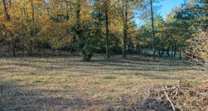 Callian Terrain à bâtir - 2456969-11719annonce120260313DtfXQ.jpeg Maisons de Manon