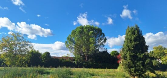 Maison neuve à , Alpes-de-Haute-Provence