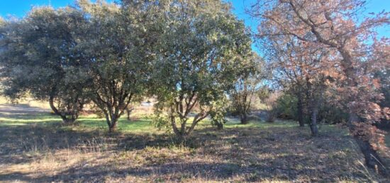 Maison neuve à , Var