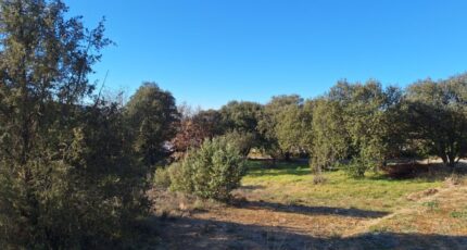 Vinon-sur-Verdon Maison neuve - 2456762-6932annonce220260313U7vNp.jpeg Maisons de Manon