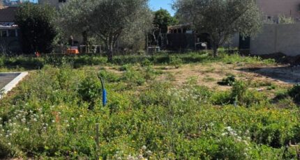 La Crau Maison neuve - 2457712-11077annonce120260316Q6rhq.jpeg Maisons de Manon