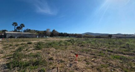 La Crau Maison neuve - 2457762-11077annonce220260316sCM5a.jpeg Maisons de Manon