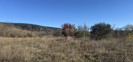 Terrain à bâtir à , Hérault