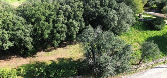 Terrain à bâtir à , Hérault