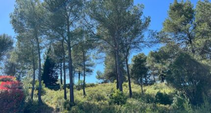 Grabels Maison neuve - 2363547-10896annonce220251210Zwx5W.jpeg Maisons de Manon