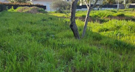 Hyères Maison neuve - 2458168-11077annonce1202603169Wvy7.jpeg Maisons de Manon