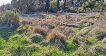 Allemagne-en-Provence Maison neuve - 2458945-6932annonce2202603175iPFP.jpeg Maisons de Manon