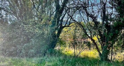 Aubagne Terrain à bâtir - 2390977-10271annonce120260113FEDxb.jpeg Maisons de Manon