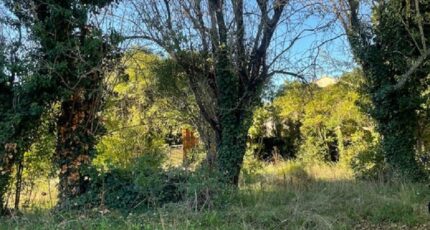 Aubagne Terrain à bâtir - 2390977-10271annonce220260113KplxT.jpeg Maisons de Manon