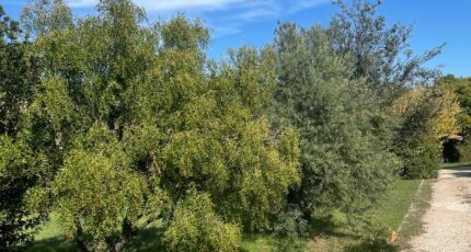 Fuveau Maison neuve - 2390786-10271annonce420260113N4SuF.jpeg Maisons de Manon