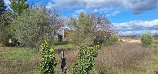 Maison neuve à , Alpes-de-Haute-Provence