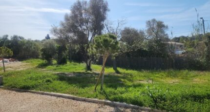 Hyères Terrain à bâtir - 2461218-11078annonce120260319JEZKi.jpeg Maisons de Manon