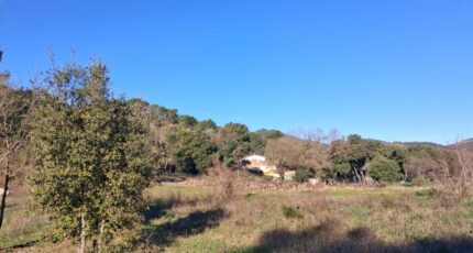 Flassans-sur-Issole Maison neuve - 2461404-10746annonce120260319A1Agy.jpeg Maisons de Manon