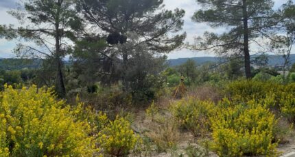 Draguignan Terrain à bâtir - 2396223-9911annonce120260116vEZd3.jpeg Maisons de Manon