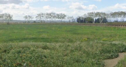 Olonzac Maison neuve - 2461959-692annonce120260319mZ4wI.jpeg Maisons de Manon