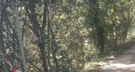 La Bastide-des-Jourdans Terrain à bâtir - 2462920-9917annonce320260320A4E5c.jpeg Maisons de Manon