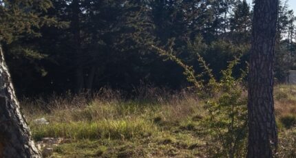 La Bastide-des-Jourdans Terrain à bâtir - 2463344-9917annonce120251128rF7Kp.jpeg Maisons de Manon