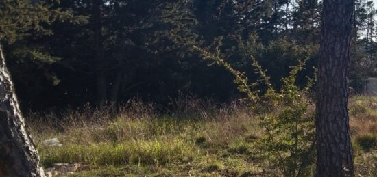 Terrain à bâtir à La Bastide-des-Jourdans, Provence-Alpes-Côte d'Azur
