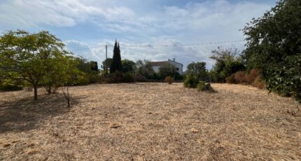 Lorgues Maison neuve - 2620995-11723annonce3202609042GFfT.jpeg Maisons de Manon