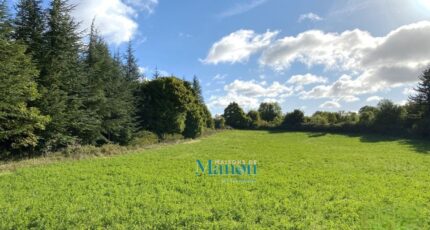 Vendres Maison neuve - 2614011-11018annonce120251209Ua4rx.jpeg Maisons de Manon