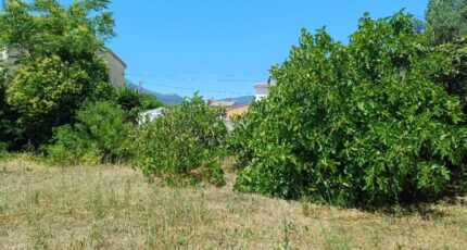 La Crau Maison neuve - 2666426-11998annonce120261007kvyzE.jpeg Maisons de Manon