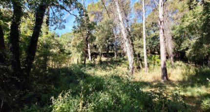 Lorgues Maison neuve - 2669357-9911annonce120261008nc8AD.jpeg Maisons de Manon