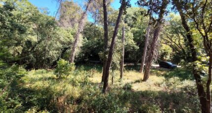 Lorgues Maison neuve - 2669357-9911annonce320261008aSOW3.jpeg Maisons de Manon